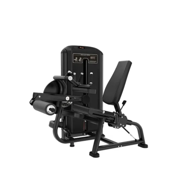 Maquina Dual Extencion y Flexion de Pierna Falcon GFTF25