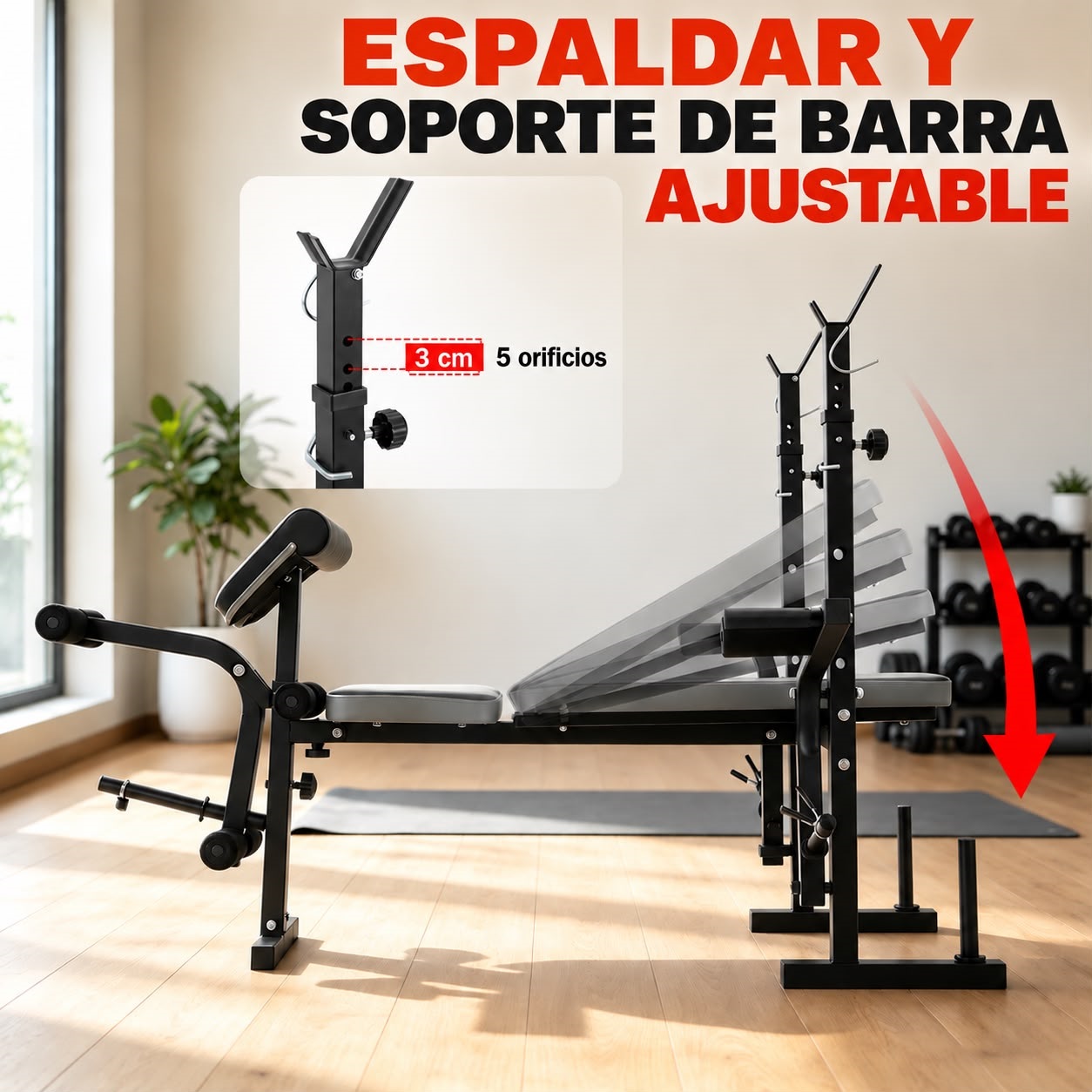 BANCO SOPORTE DE BARRA MULTIPOSICION CON APERTURAS ES-5432 - Image 4